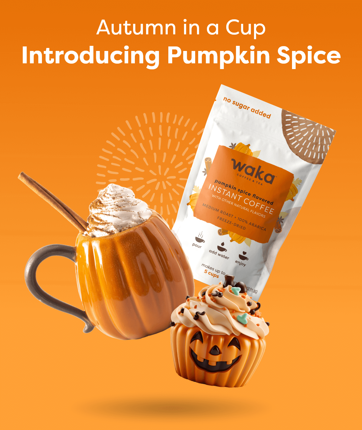 Autumn in a Cup | Introducing Pumpkin Spice