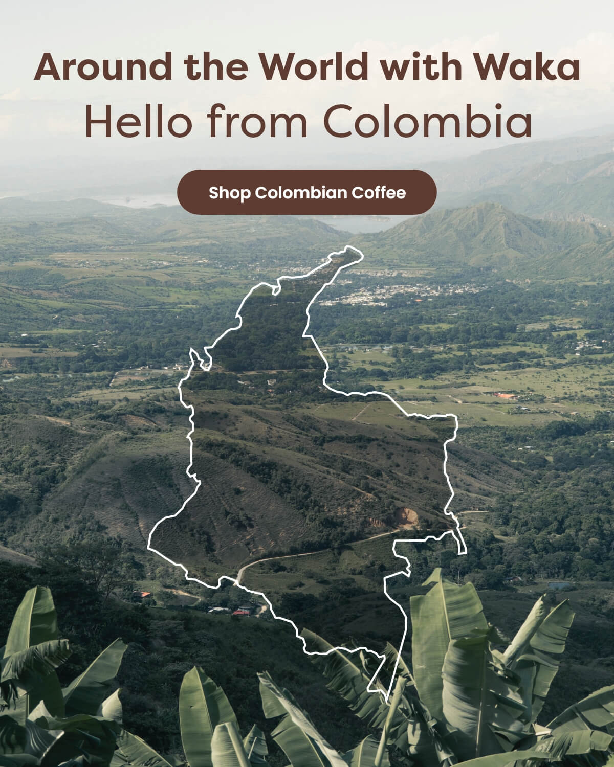 Around the World with Waka: Hello from Colombia [Shop Colombian Coffee]