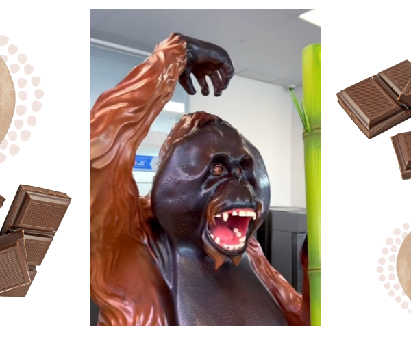 Chocolate Orangutan