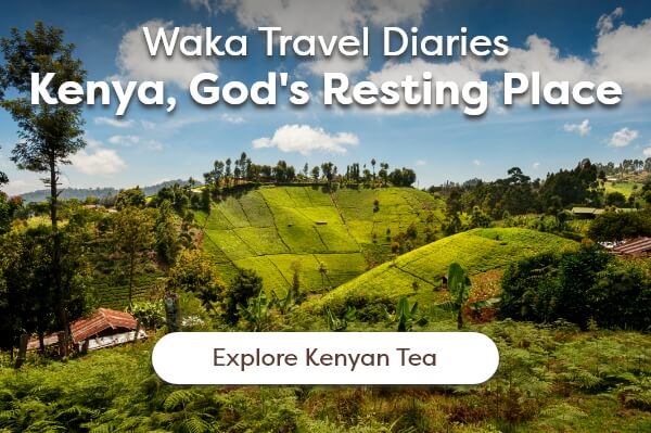 Waka Travel Diaries Kenya, God's Resting Place [Explore Kenyan Tea]