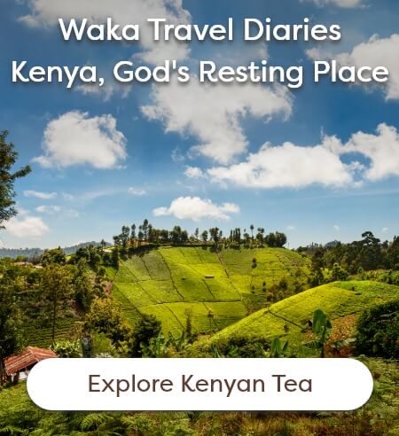 Waka Travel Diaries Kenya, God's Resting Place [Explore Kenyan Tea]