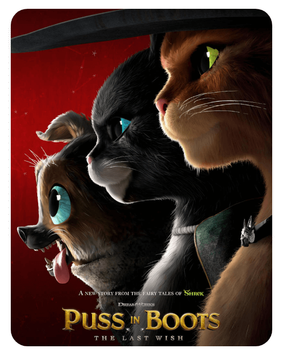 Puss in Boots: The Last Wish movie poster