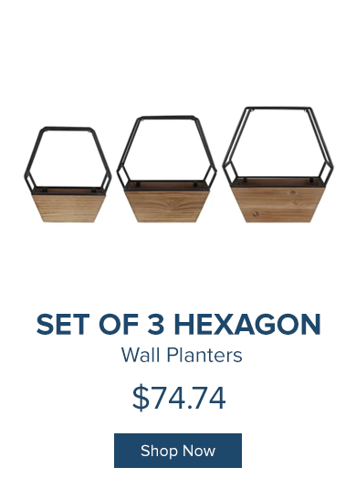 Set of 3 Hexagon Wall Planters