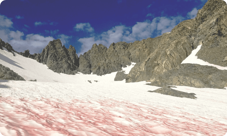 Watermelon Snow in Utah