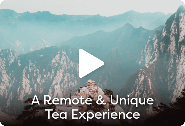A Remote & Unique Tea Experience