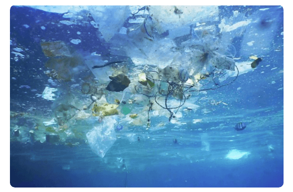 Plastic Floating in the Ocean | BBC Newsround