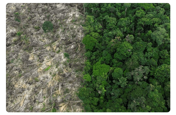 Deforested area near Uruara, Para State, Brazil | REUTERS; Ueslei Marcelino; File Photo